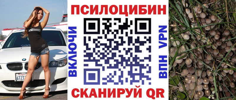 Галлюциногенные грибы MAGIC MUSHROOMS  купить   Высоцк 